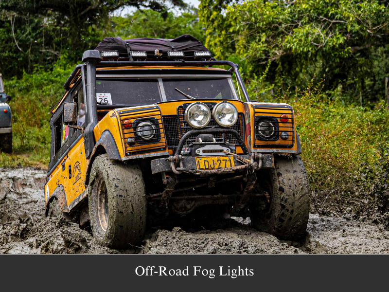 Off-Road Fog Lights: Everything You Need To Know In 2024